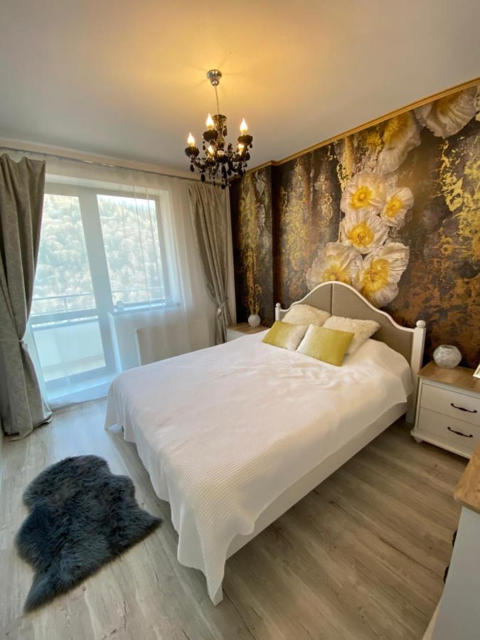 Harmony Apartment Сіная Екстер'єр фото